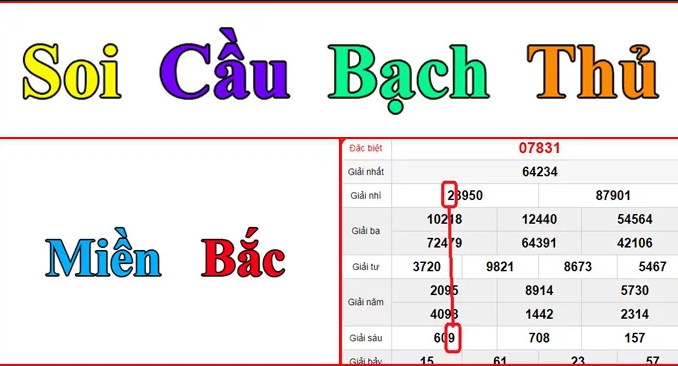 soi-cau-lo-bach-thu