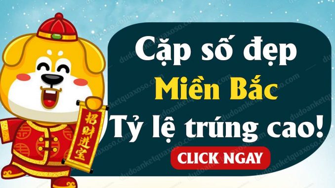 soi cau trung cao
